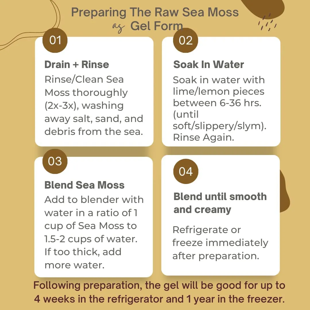 Herb To Body - Gold Sea Moss (Dry) - Wildcrafted From Caribbean 4oz, photo 8 of 8
