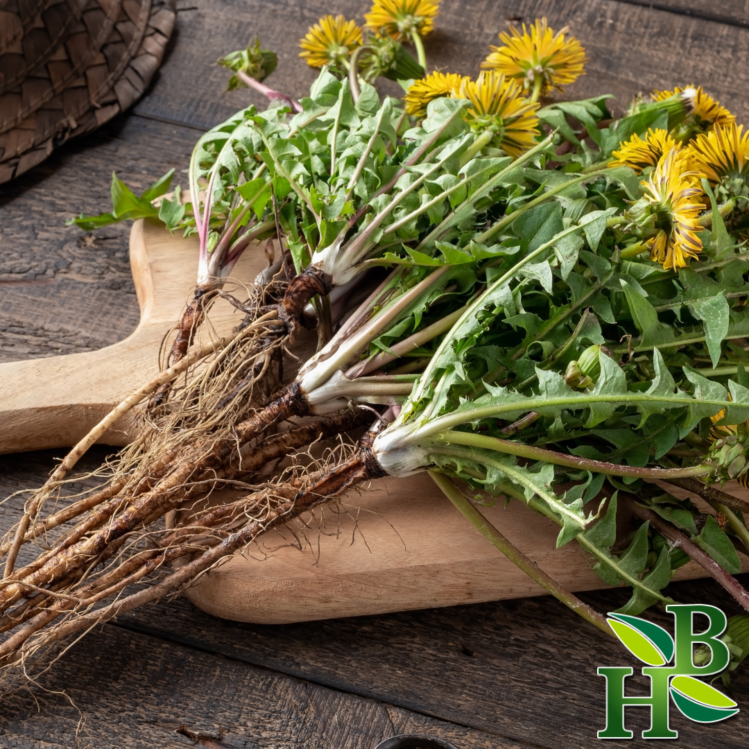 Herb To Body - Dandelion Root C/S - 4oz, photo 2 of 2