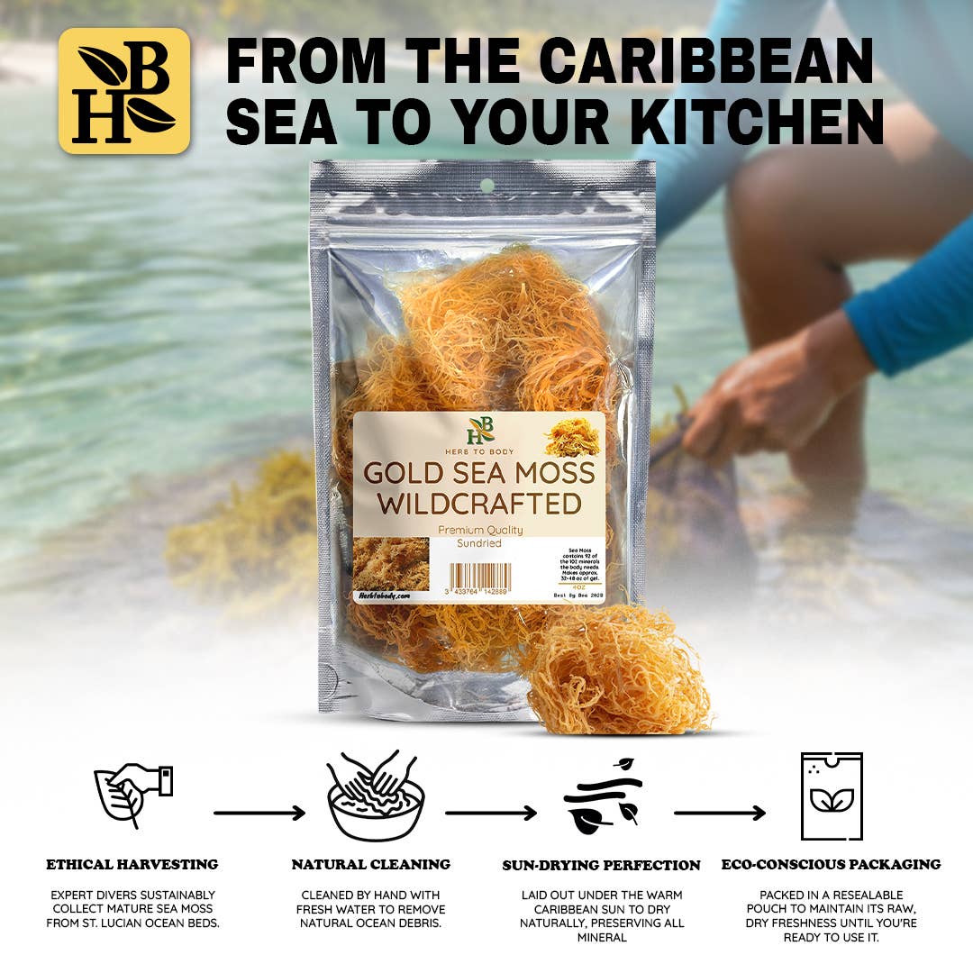 Herb To Body - Gold Sea Moss (Dry) - Wildcrafted From Caribbean 4oz, photo 6 of 8