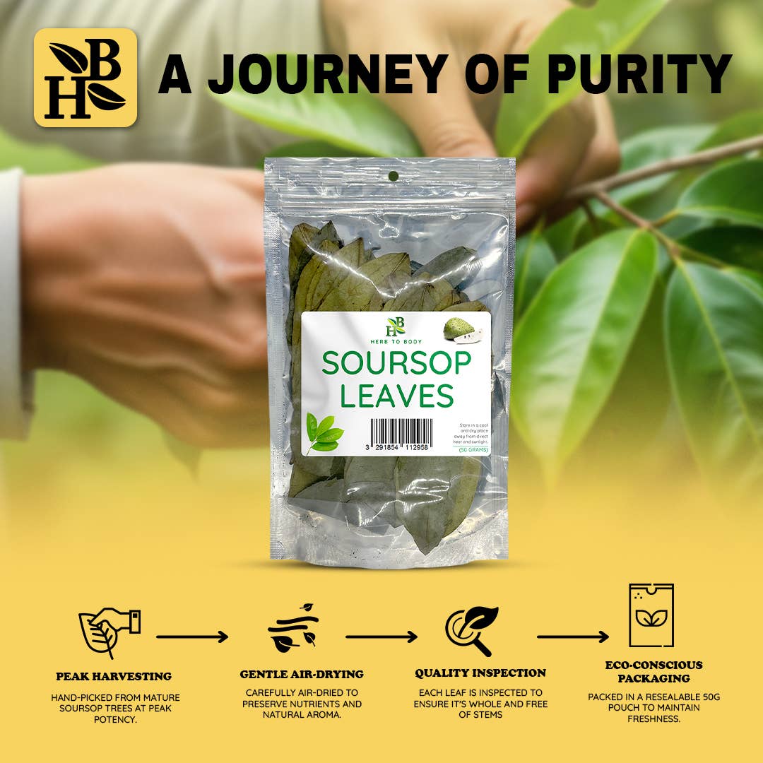 Herb To Body - Organic Soursop Leaves 50g - Dried Leaf | Hoja De Guanabana, photo 5 of 8