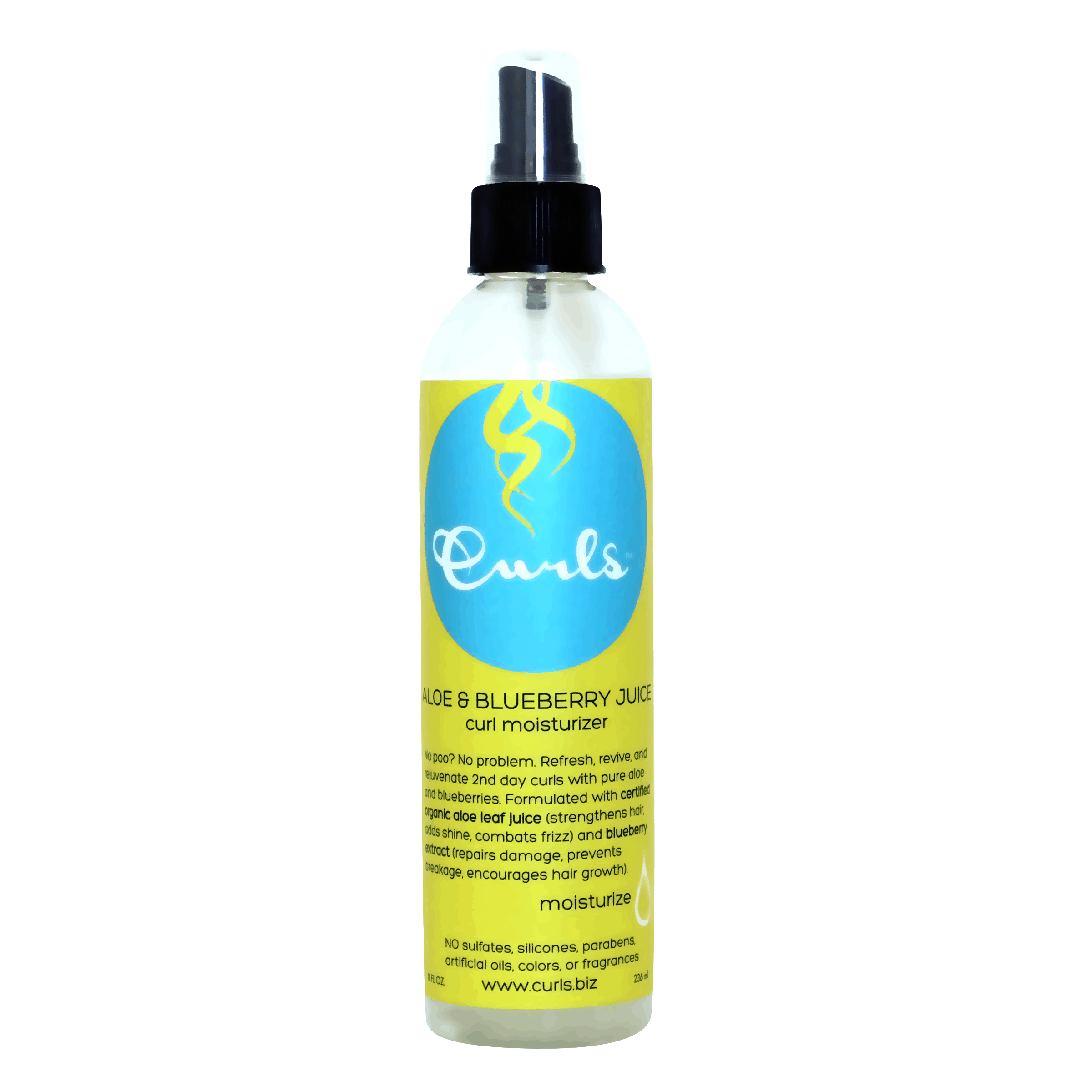 CURLS | Aloe & Blueberry Curl Moisturizer