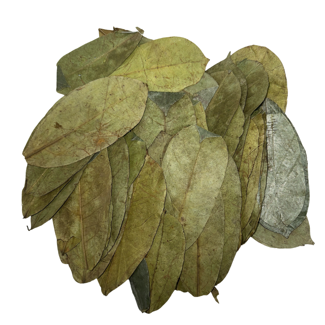 Herb To Body - Organic Soursop Leaves 50g - Dried Leaf | Hoja De Guanabana, photo 8 of 8