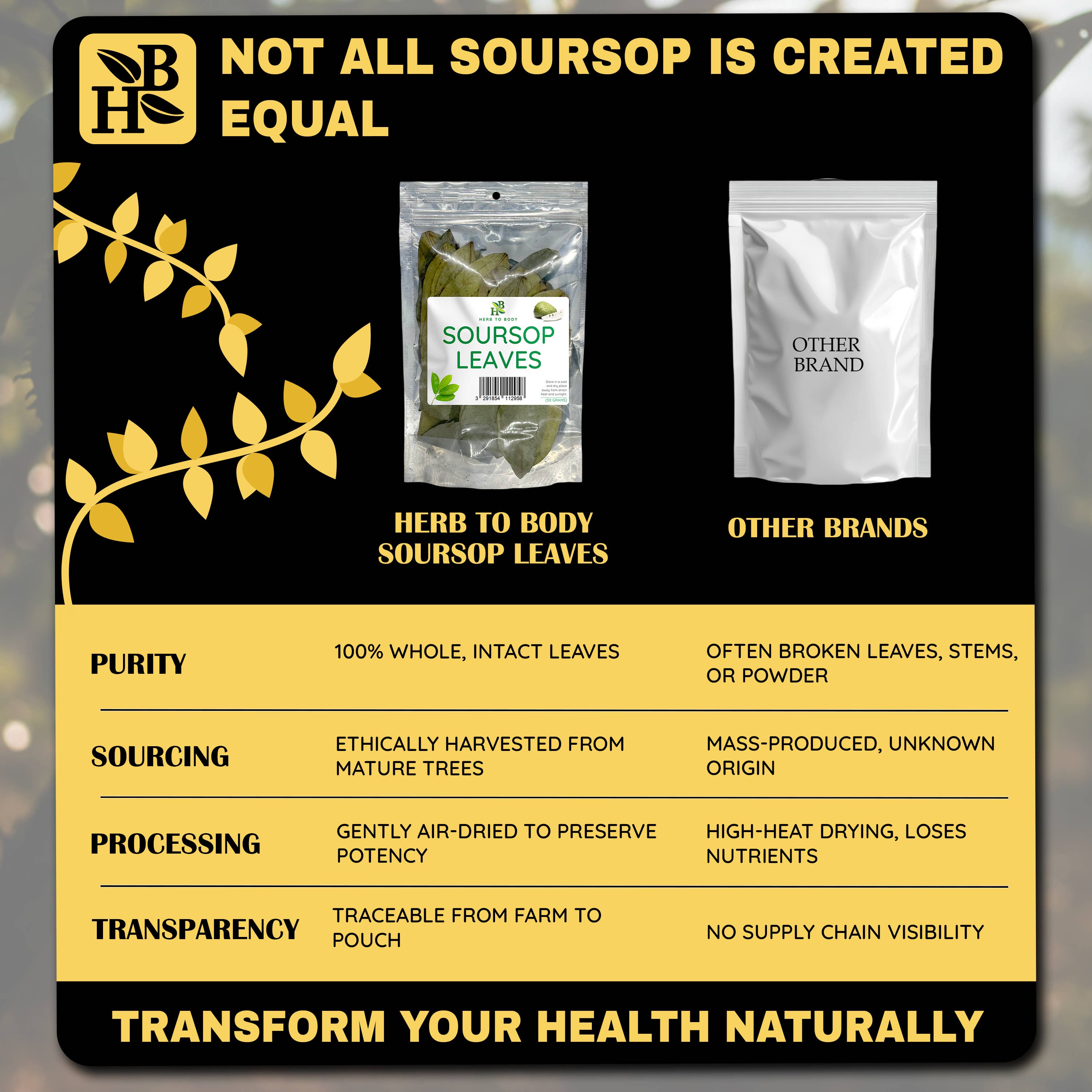 Herb To Body - Organic Soursop Leaves 50g - Dried Leaf | Hoja De Guanabana, photo 3 of 8