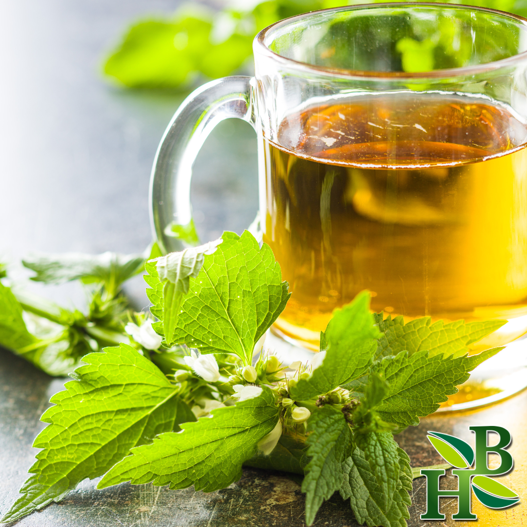 Herb To Body - Nettle Leaf C/S - 4oz, photo 2 of 2